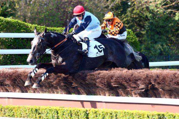 La photo de Bel Canto Valtat 