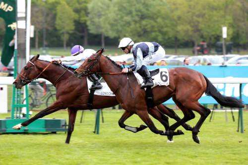 La photo de Prix De Fontainebleau 