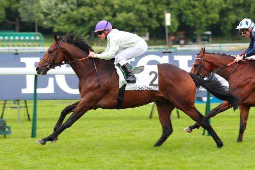 La photo de Nolleval 