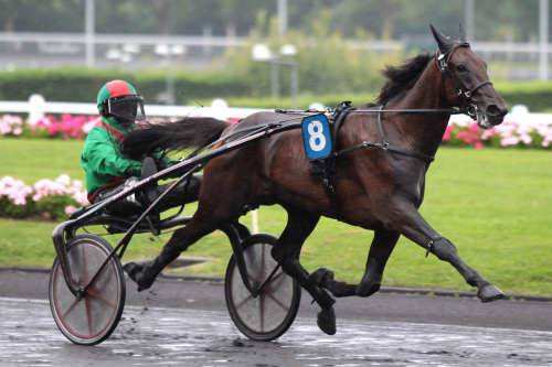 La photo de Cahal Des Rioults 