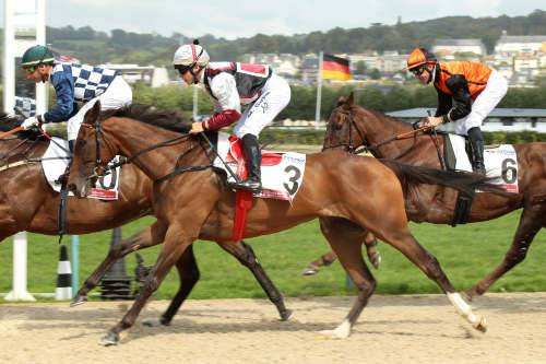 La photo de Santillana 