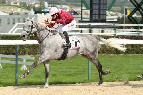 La photo de  Special Request 