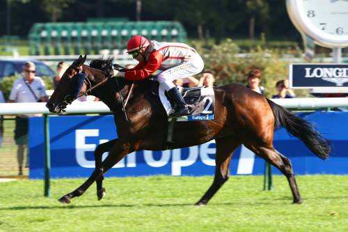 La photo de Hectomare 