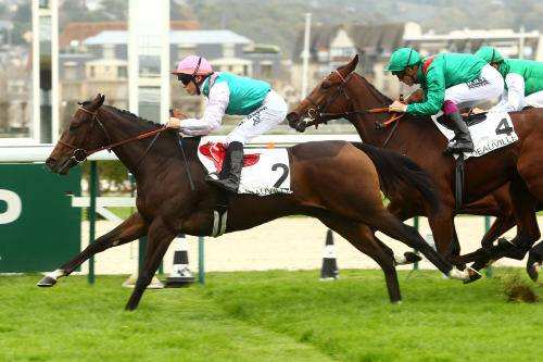 La photo de Mexican Gold 