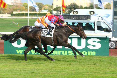 MD_Scoop_068491_029_GRAND_HANDICAP_DE_MARSEILLE_2014.jpg