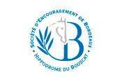 La photo de Logo Bordeaux Le Bouscat.jpg 