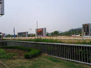 Photo 320px-seoul Racecourse Home Stetch