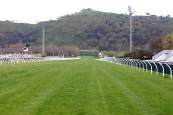Photo Naples ligne droite galop herbe
