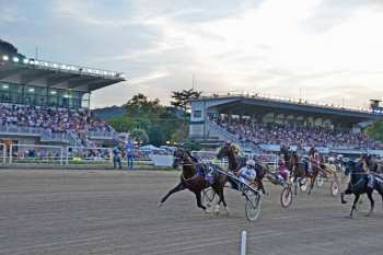 Photo Naples public tribunes trotteurs