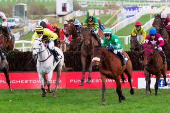Photo Punchestown obstacle piste herbe