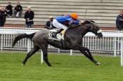 La photo de Fanfaron