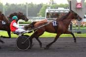 La photo de Tornado Bello PRIX PYTHIA, PRIX DE LA SOIREE TROPICALE, VINCENNES, quinté+