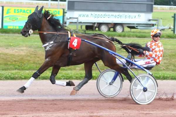 TITAN DU FERRON La Fiche CANALTURF Du Cheval Performances Pmu 