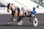 La photo de Timoko 