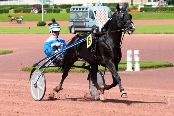 Photo de REVE DE BEYLEV cheval de TROT ATTELE