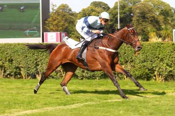La photo de Miss De Champdoux 
