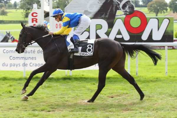 Photo de IRISH KALDOUN cheval de PLAT