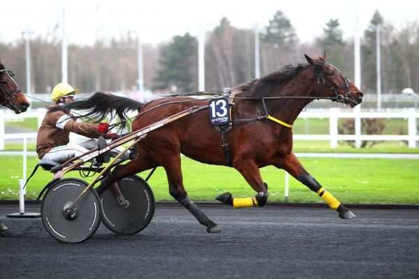 La photo de Uniflosa Bella 