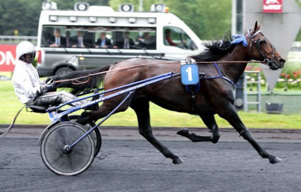 La photo de Amour D'occagnes 