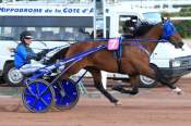 La photo de Timoko 