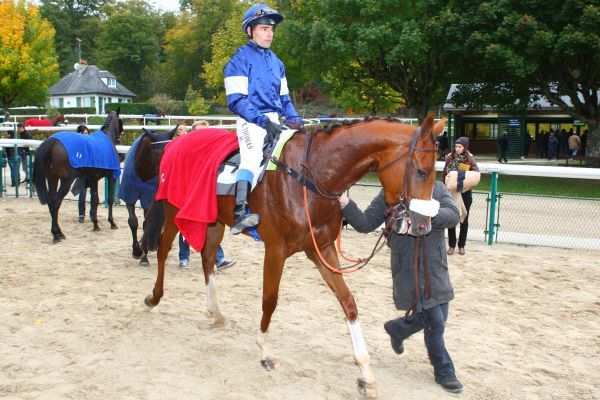 La photo de Casablanca Mix 