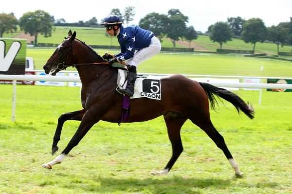 La photo de Babel's Book 