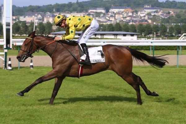 La photo de Efferatus 