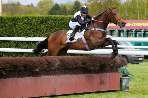 La photo du pronostic turf pmu du Dimanche 25 novembre 2018