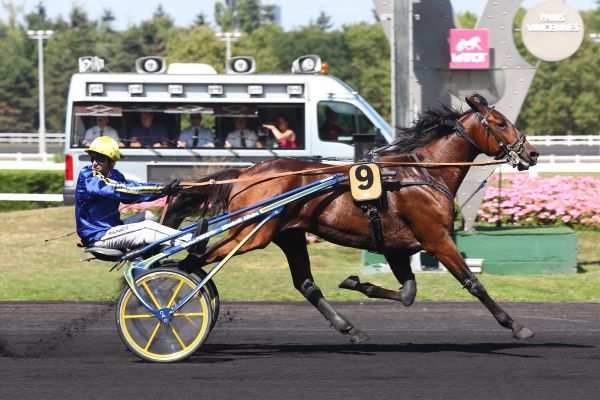 La photo de Django Riff 