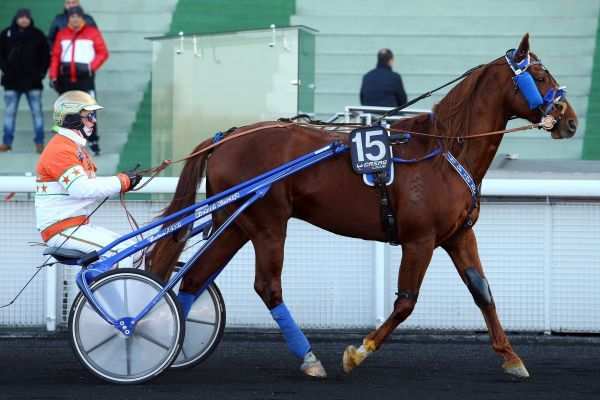 Photo de KING OF THE WORLD cheval de TROT ATTELE