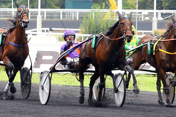 La photo de Fortuna Pride 