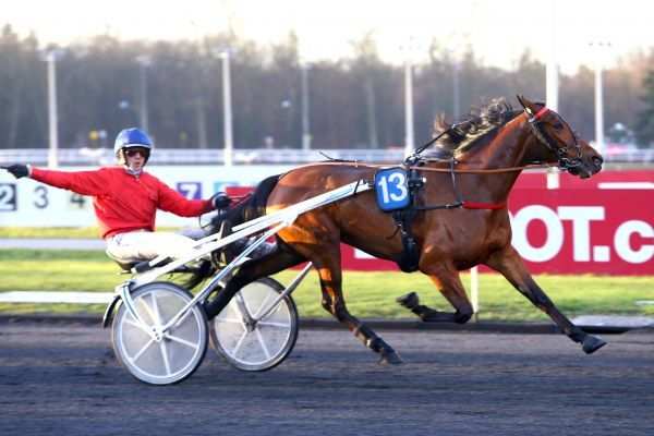 La photo de Elea Madrik 