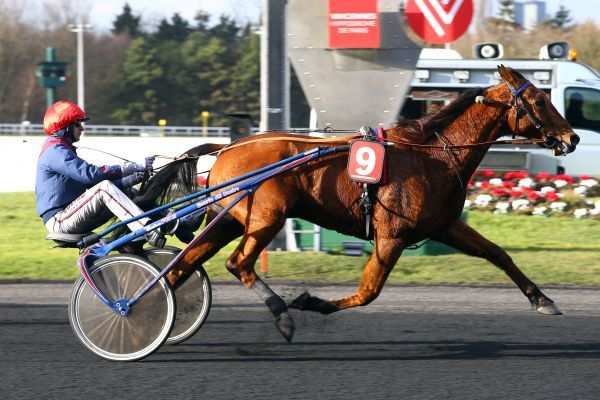 La photo de Aubrion Du Gers 