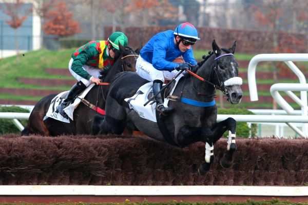 Pronostic PMU Quinté+ Prix Label Equures - Prix Léopold d'Orsetti, lundi à Clairefontaine-Deauville. FUTBOLISTO vaut un tel lot - Vimarsana News