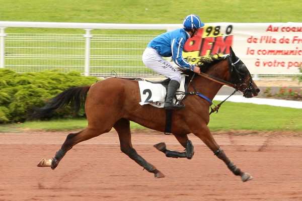 Téléchargement gratuit Images Drole D Histoire La Fiche Canalturf Du Cheval Performances Pmu le plus cool salutations