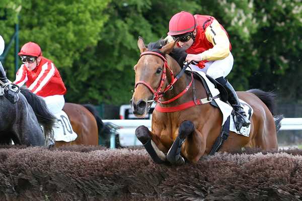 La photo de Panis Moon 