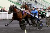 La photo de Coup De Poker Course PMU PRIX ALBERT DEMARCQ à Vincennes