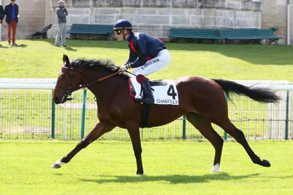 La photo de Fastidious 