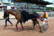 La photo de Violine Mourotaise Quinté+ PMU GRAND NATIONAL DU TROT PARIS-TURF - 6 ème EPREUVE DU GNT à Laval