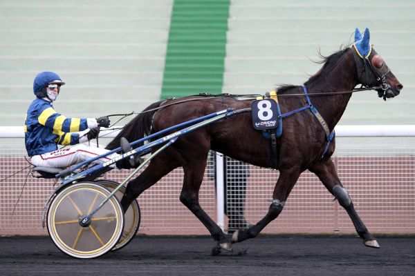 Photo de SWING D'ERONVILLE cheval de TROT ATTELE
