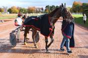 The photo of Cleangame Quinté+ PMU 12th stage of the GRAND NATIONAL DU TROT PARIS-TURF in Nantes