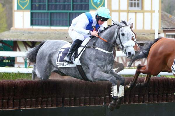 Pronostic gratuit du PRIX COLONEL JOCHAUD DU PLESSIS 15 oct. 2019 par