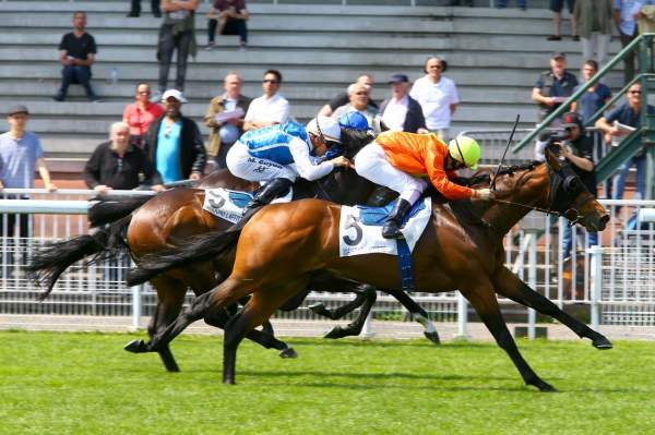 Les Actualites Hippiques Et Pmu Articles Presse Turf Canal Turf