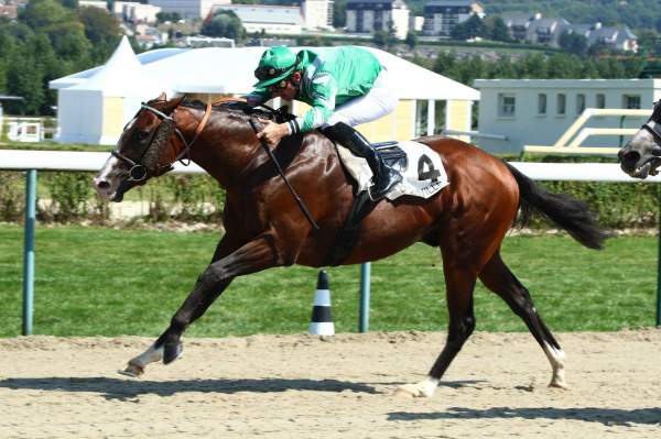 Photo de DIWAN SENORA cheval de PLAT