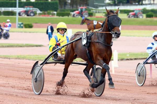 La photo de Bahia Quesnot 