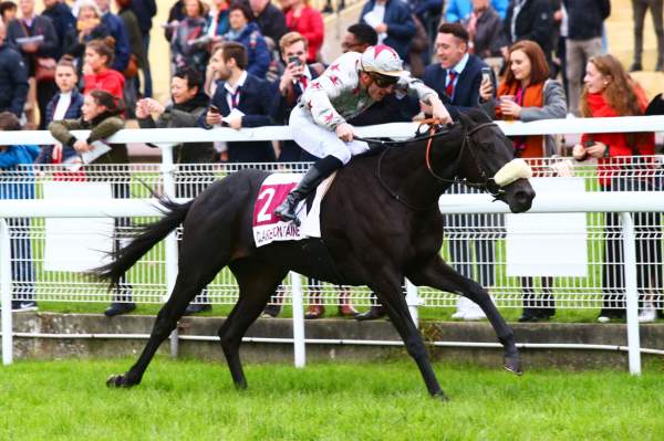 La photo de Celestin 