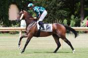 La photo de Picnic Royal