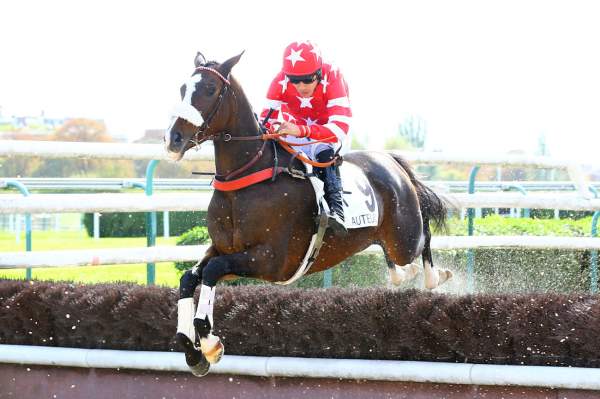 Photo de GOLDEN PARK cheval de STEEPLE CHASE
