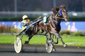 La photo de Fifty Black Course Pmu Letrot Open des Régions - 4 ans 2019 à Paris-Vincennes