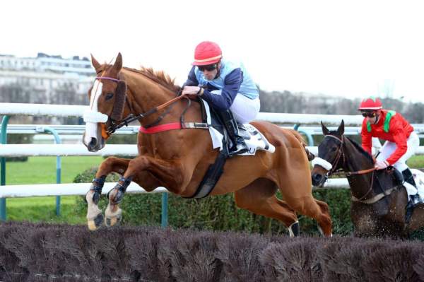 Photo de FORTHING cheval de STEEPLE CHASE